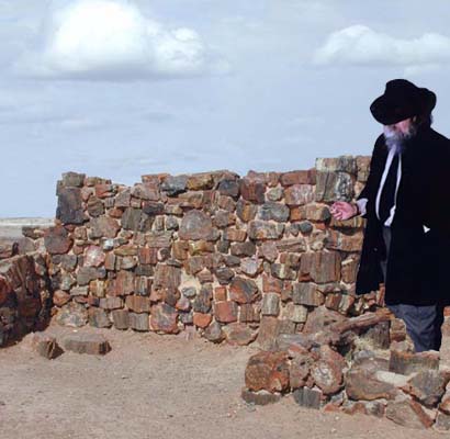 [Bringing it back 0]